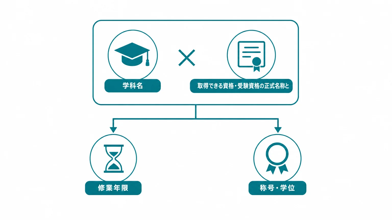 学科ページは「職業名×資格名」のエンティティで書き直す