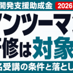マンツーマンAI研修は助成金対象？1名受講の条件と落とし穴【2026年8月】