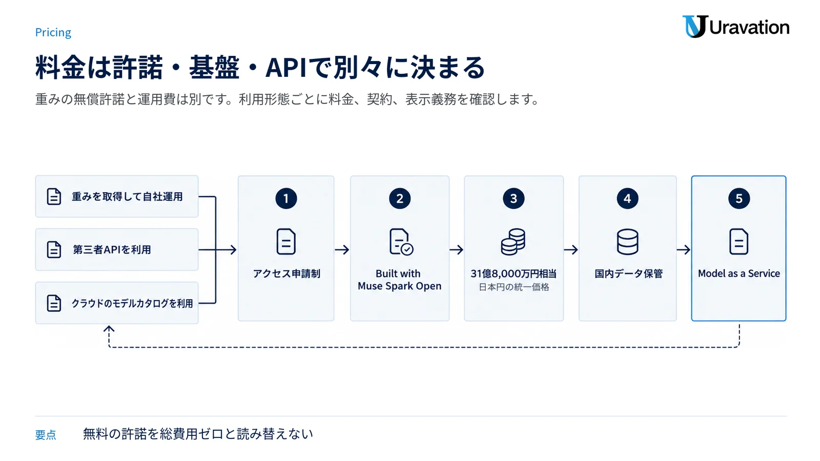利用形態ごとに異なる料金と、ライセンス・アクセス・日本向け条件の確認点を関門として示す図。